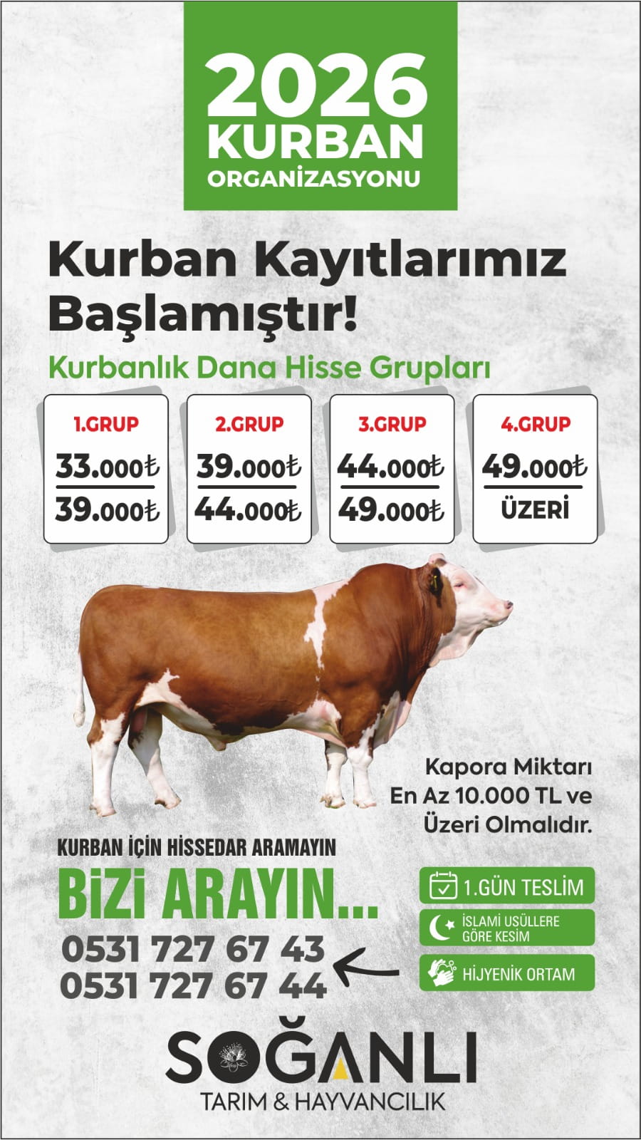 Afişler